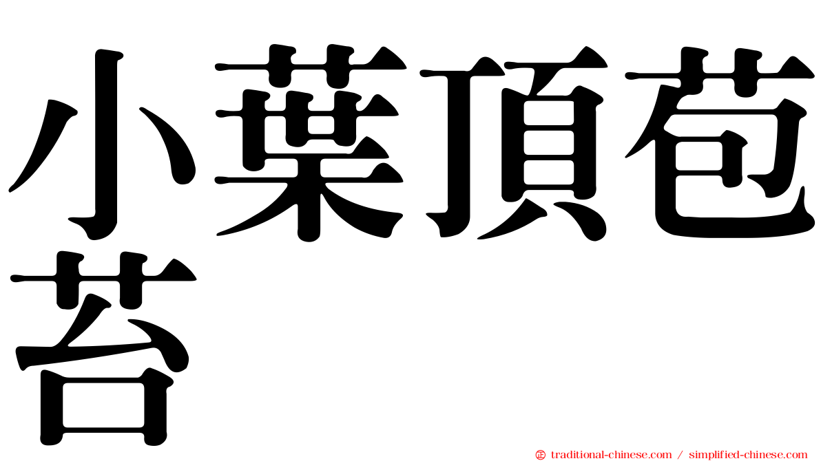 小葉頂苞苔