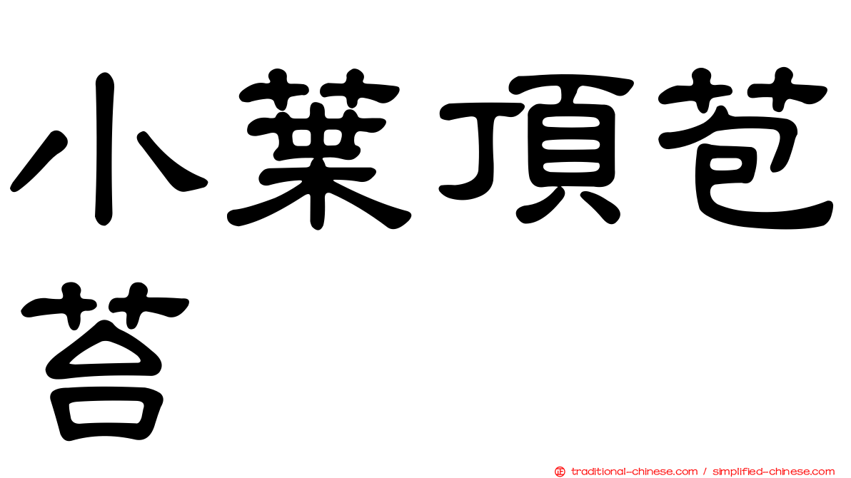 小葉頂苞苔