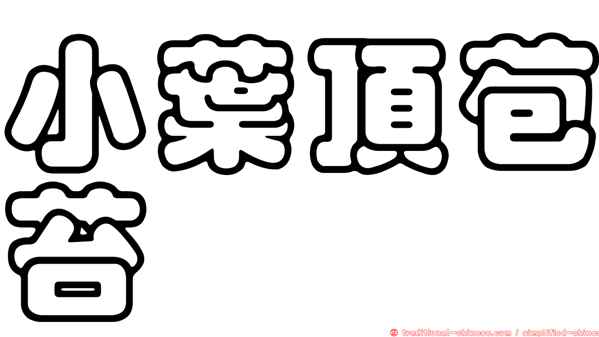 小葉頂苞苔