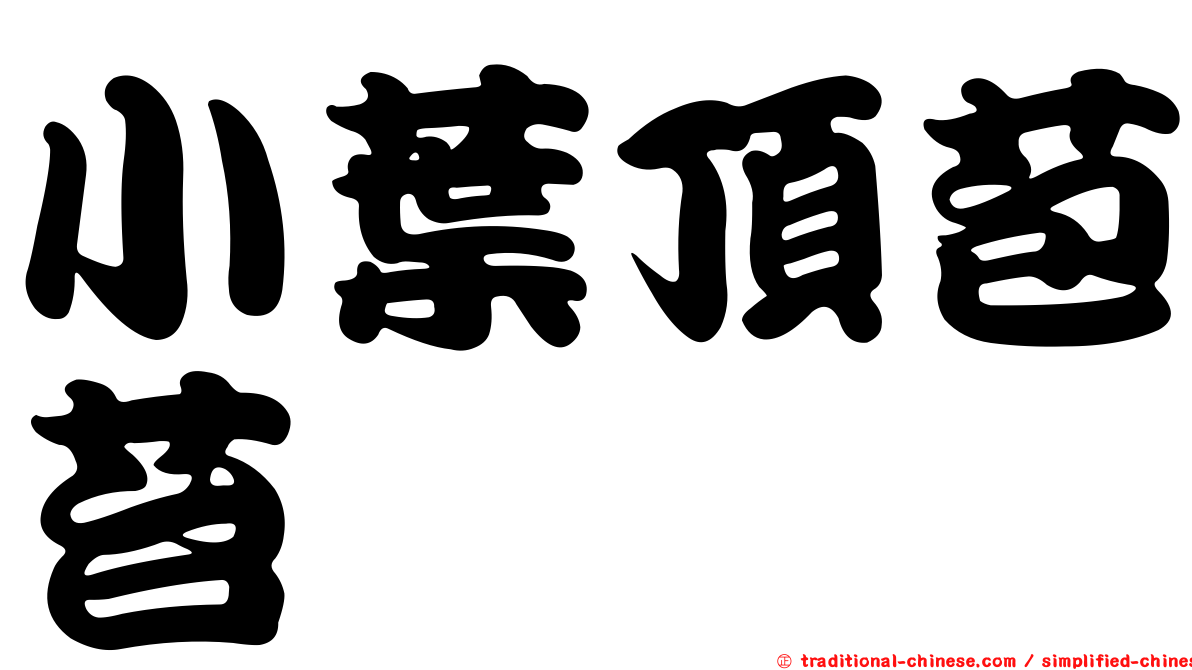 小葉頂苞苔