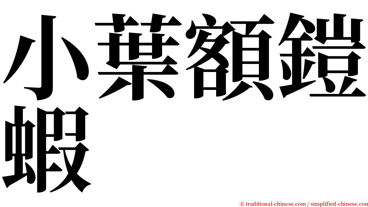 小葉額鎧蝦 serif font