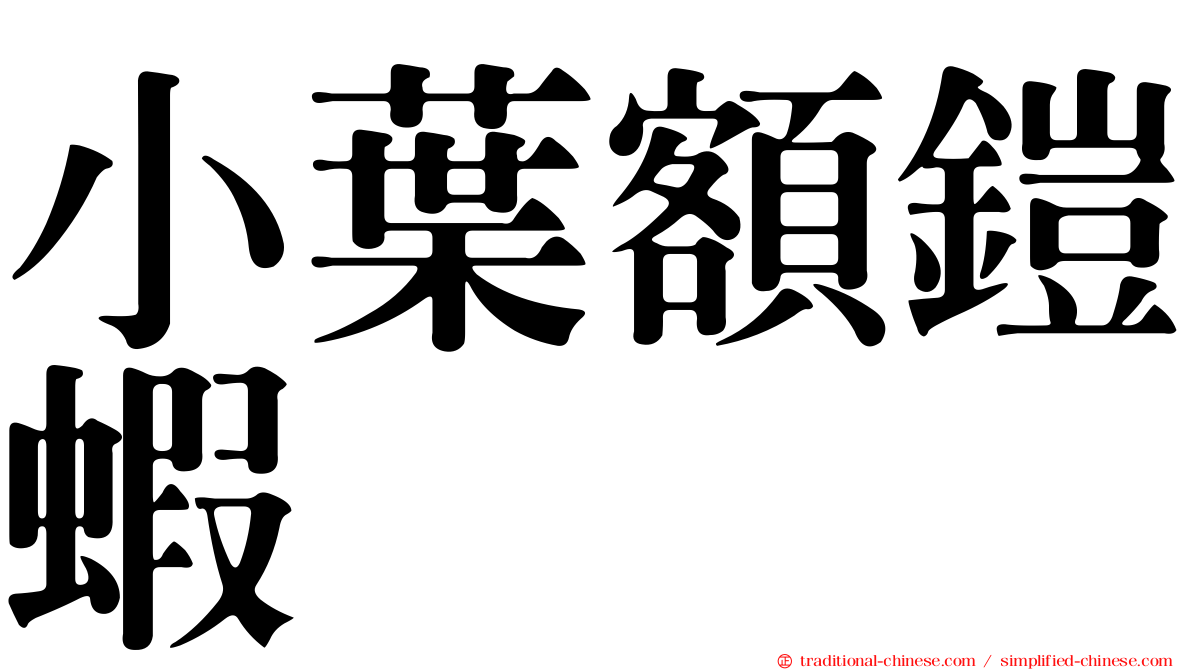 小葉額鎧蝦