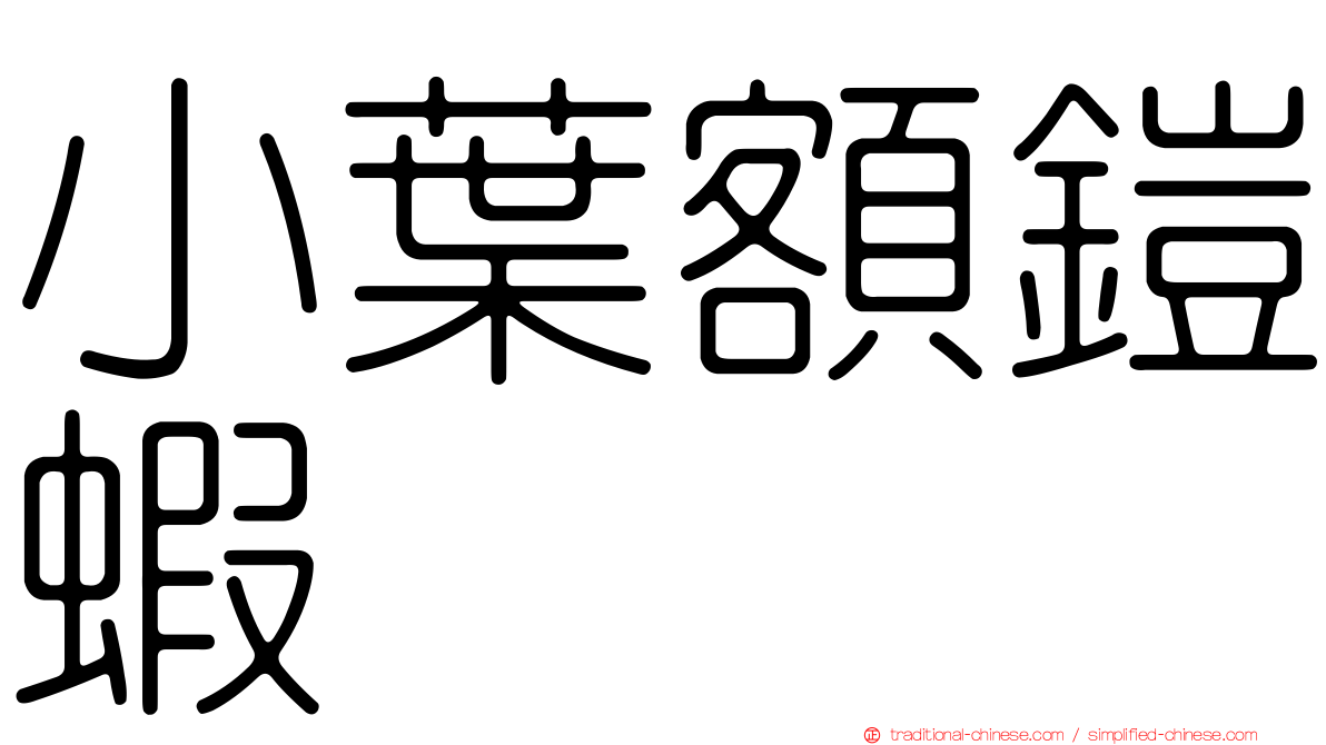 小葉額鎧蝦