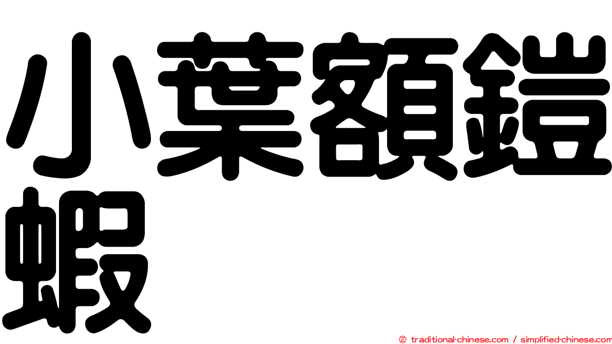 小葉額鎧蝦