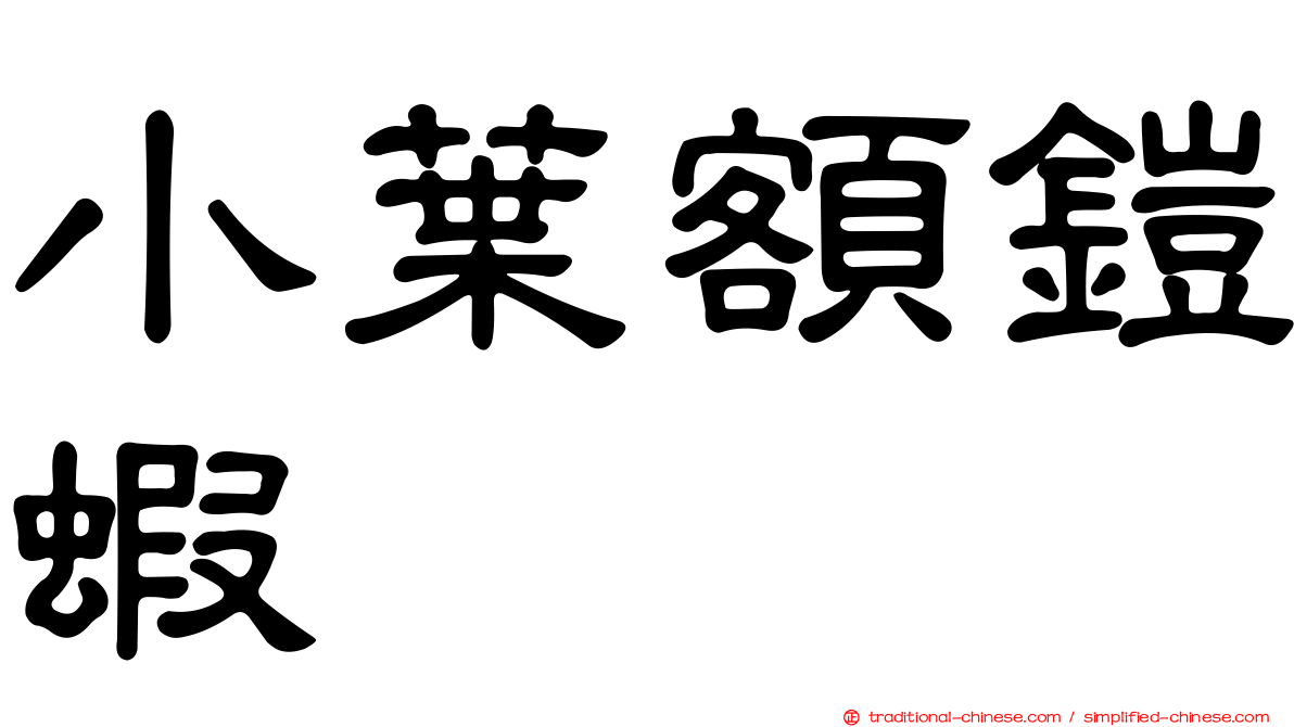 小葉額鎧蝦