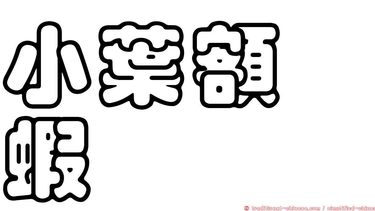 小葉額鎧蝦