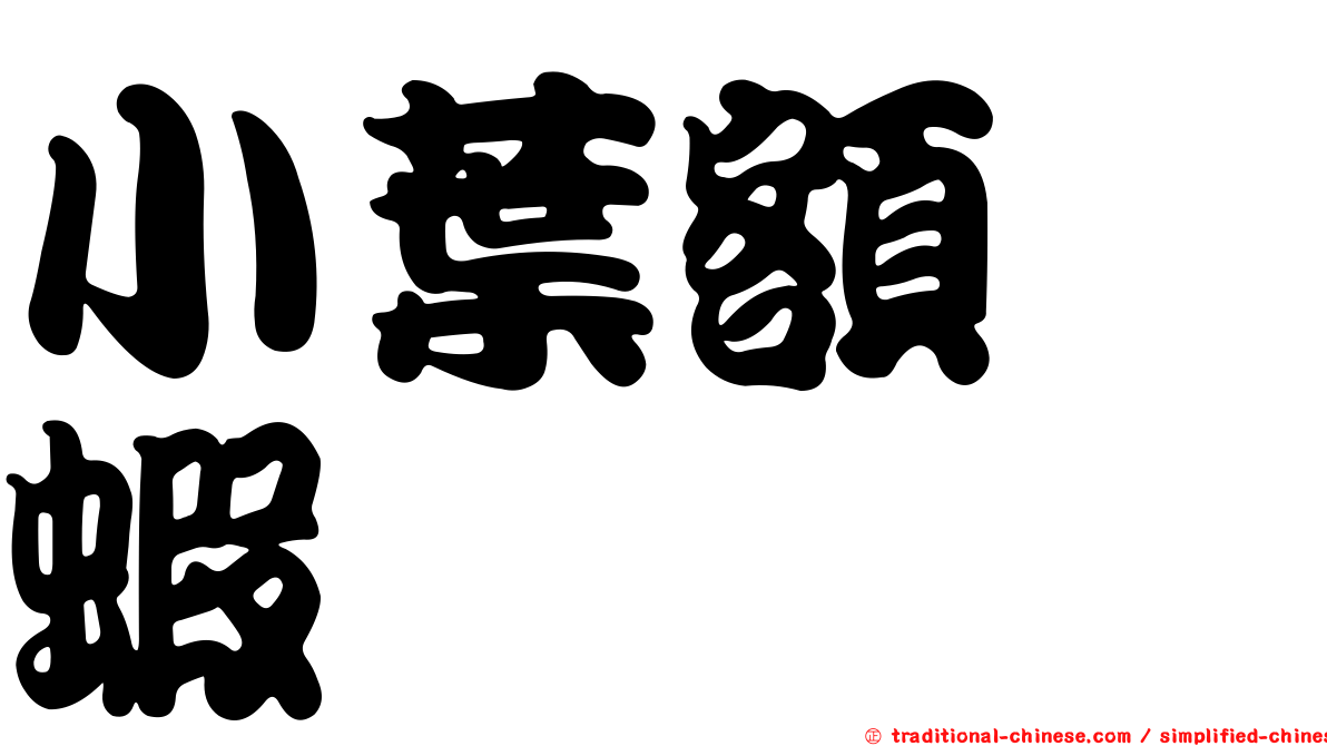 小葉額鎧蝦