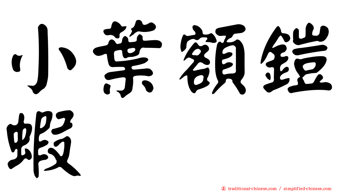 小葉額鎧蝦