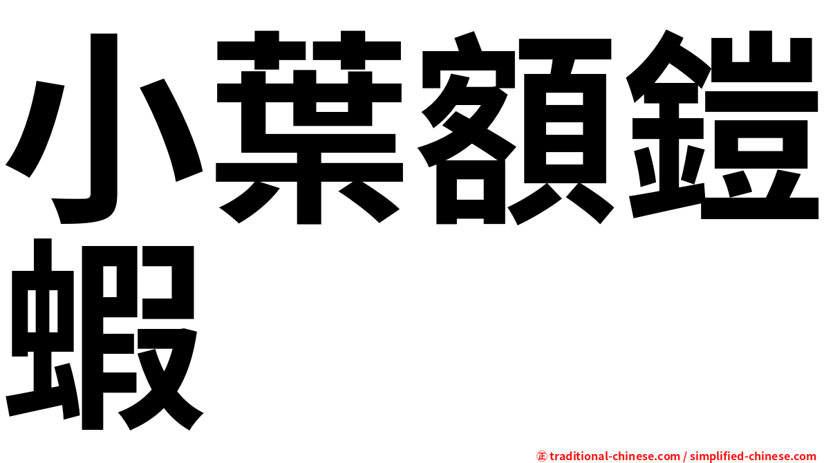小葉額鎧蝦