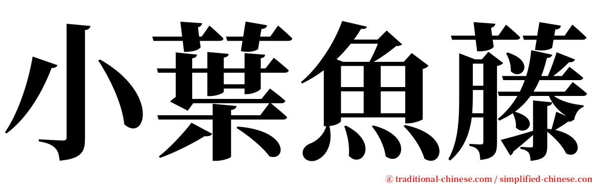 小葉魚藤 serif font