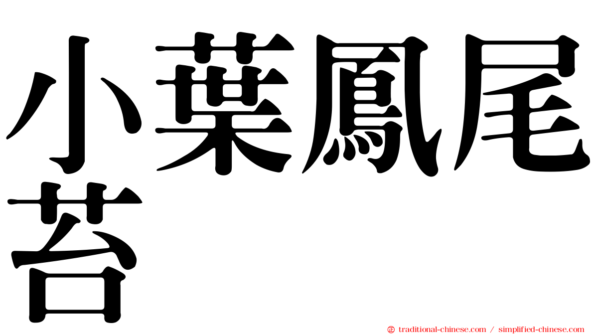 小葉鳳尾苔