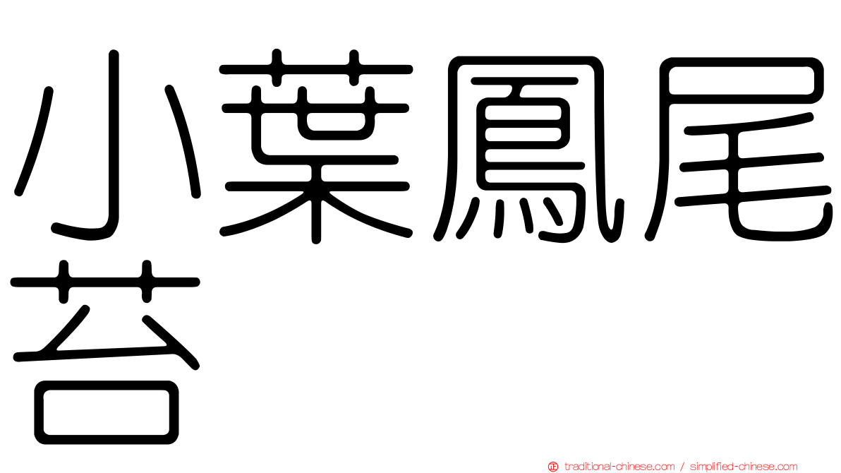 小葉鳳尾苔
