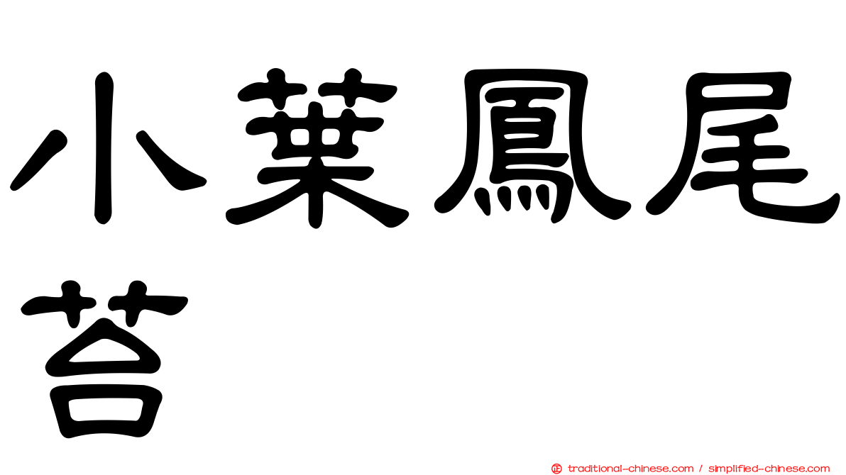 小葉鳳尾苔