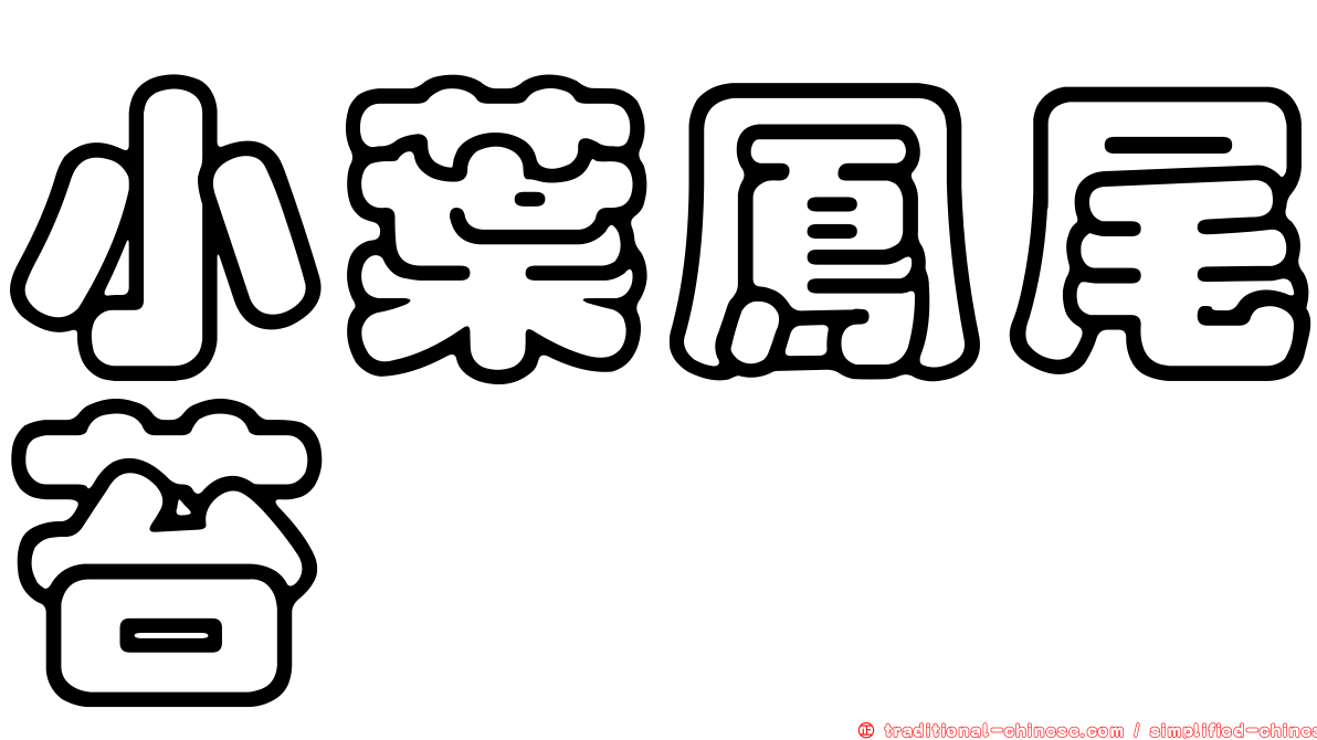 小葉鳳尾苔