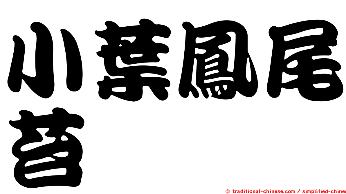 小葉鳳尾苔
