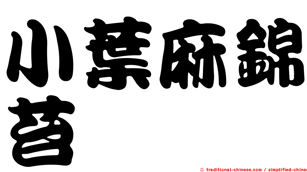 小葉麻錦苔