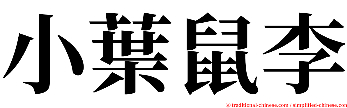 小葉鼠李 serif font