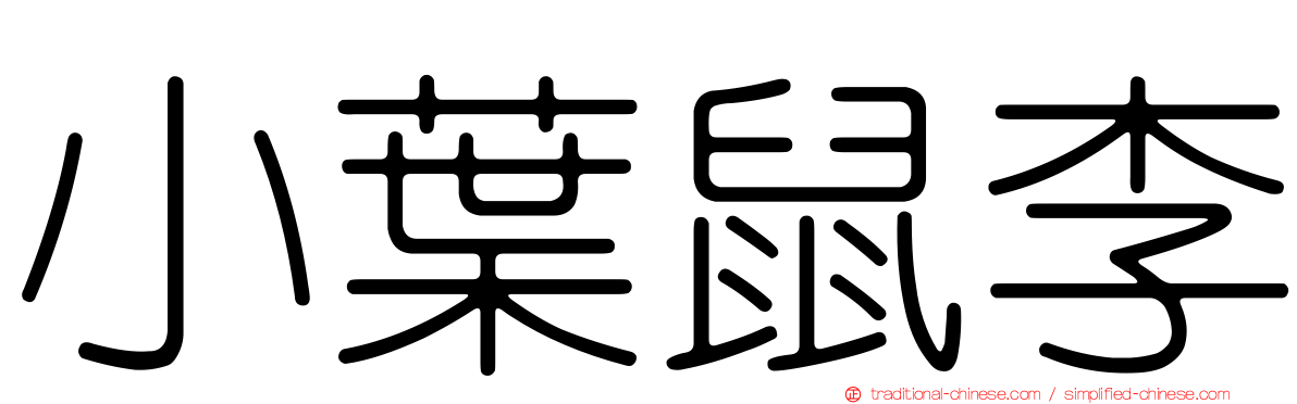 小葉鼠李
