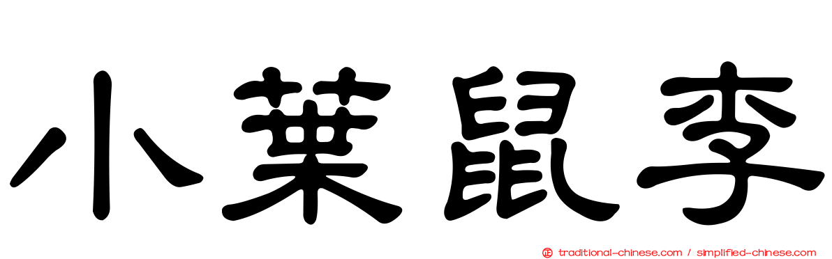 小葉鼠李