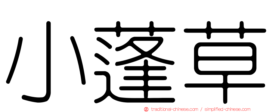 小蓬草