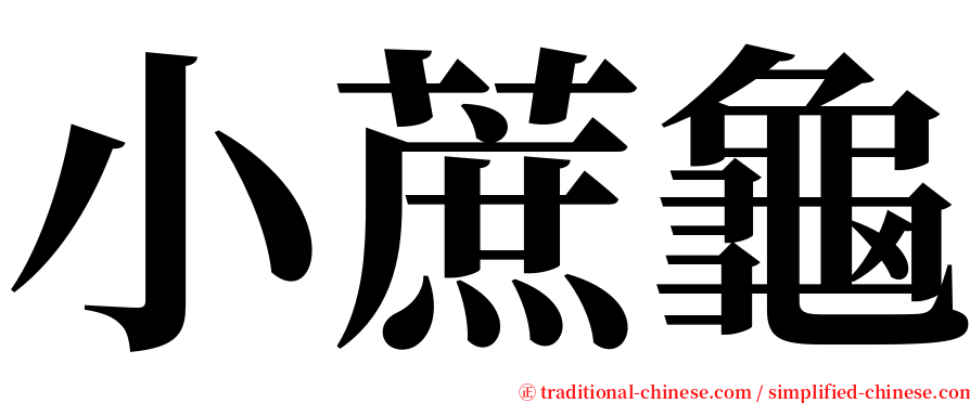 小蔗龜 serif font