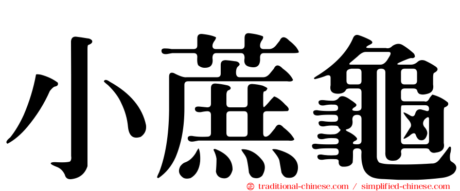 小蔗龜