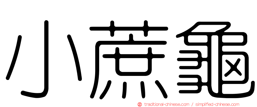 小蔗龜