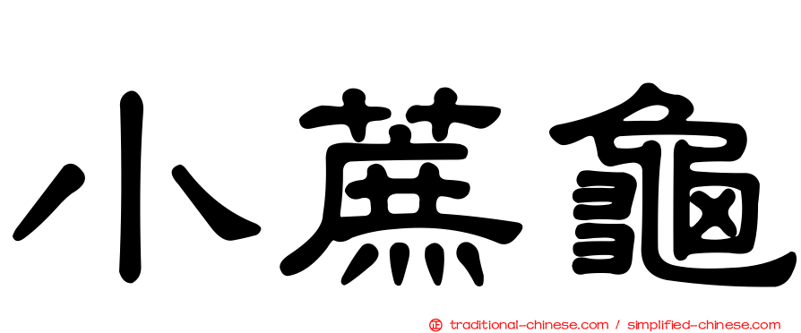 小蔗龜