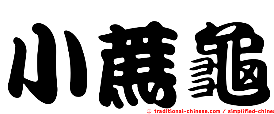 小蔗龜
