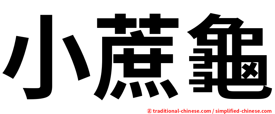 小蔗龜