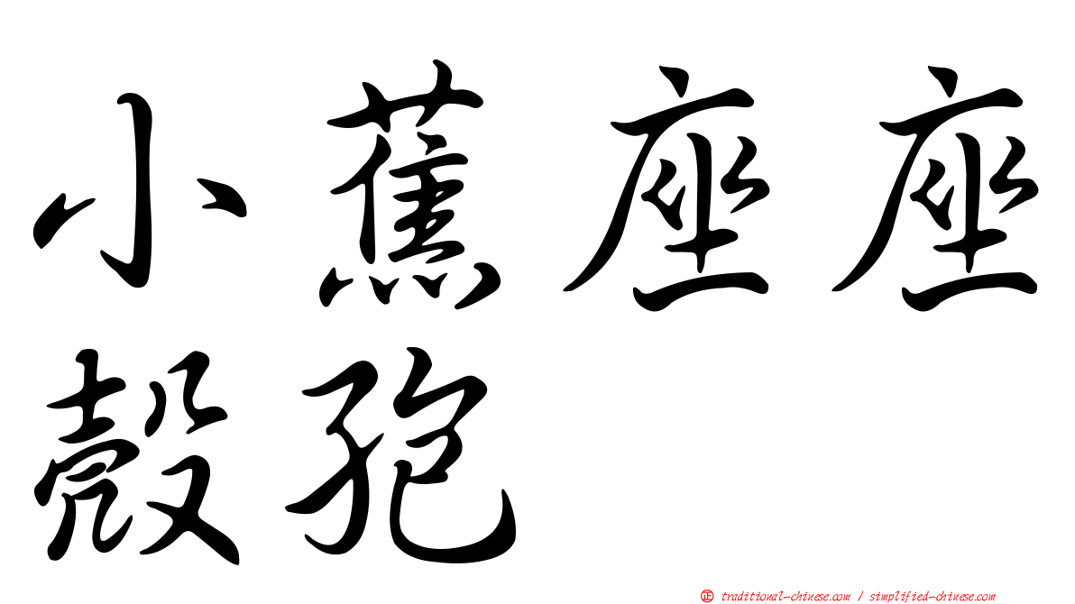 小蕉座座殼孢