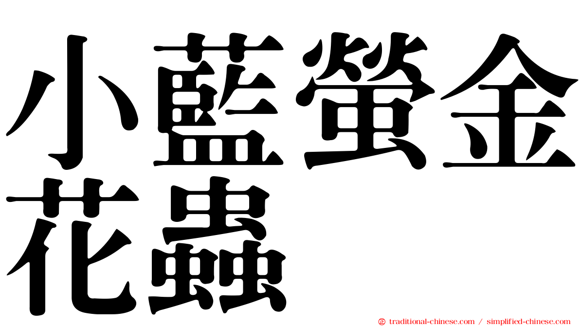 小藍螢金花蟲