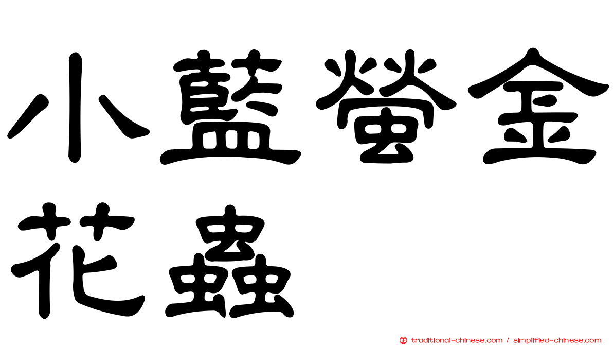 小藍螢金花蟲