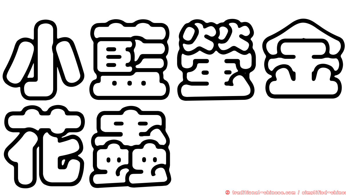 小藍螢金花蟲