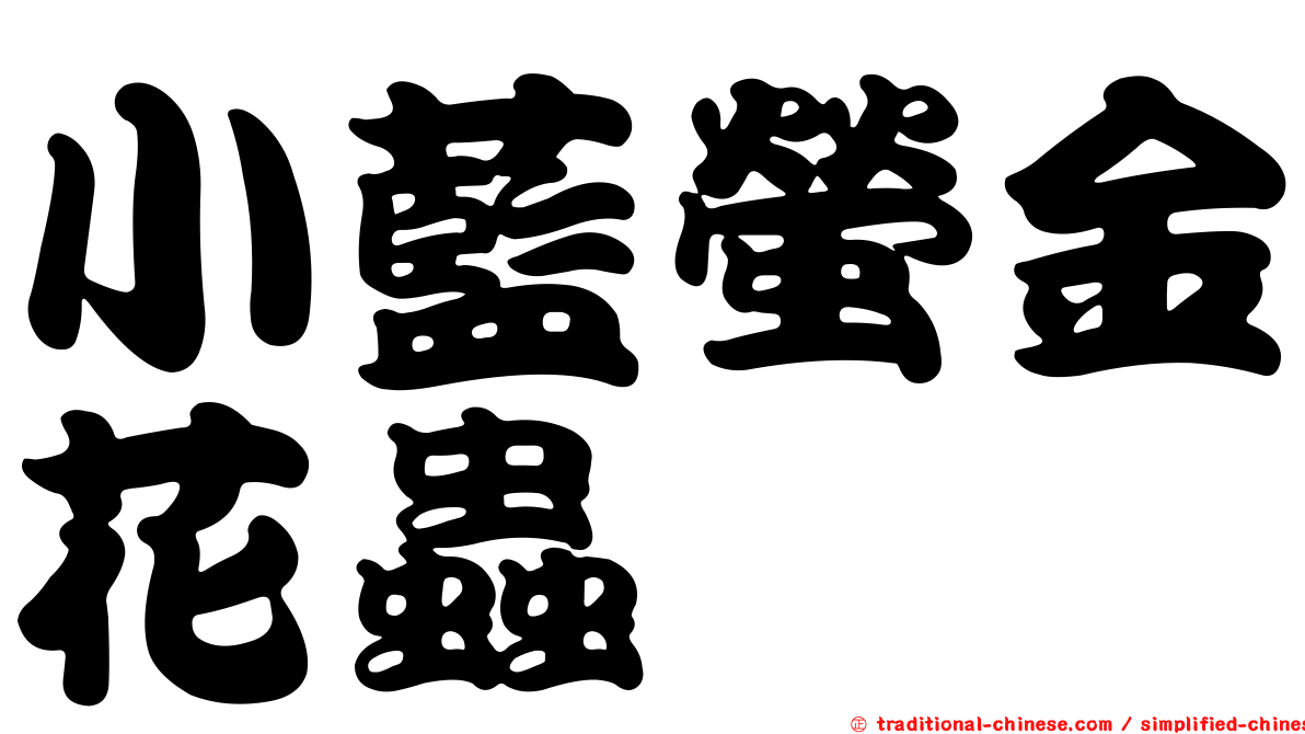 小藍螢金花蟲