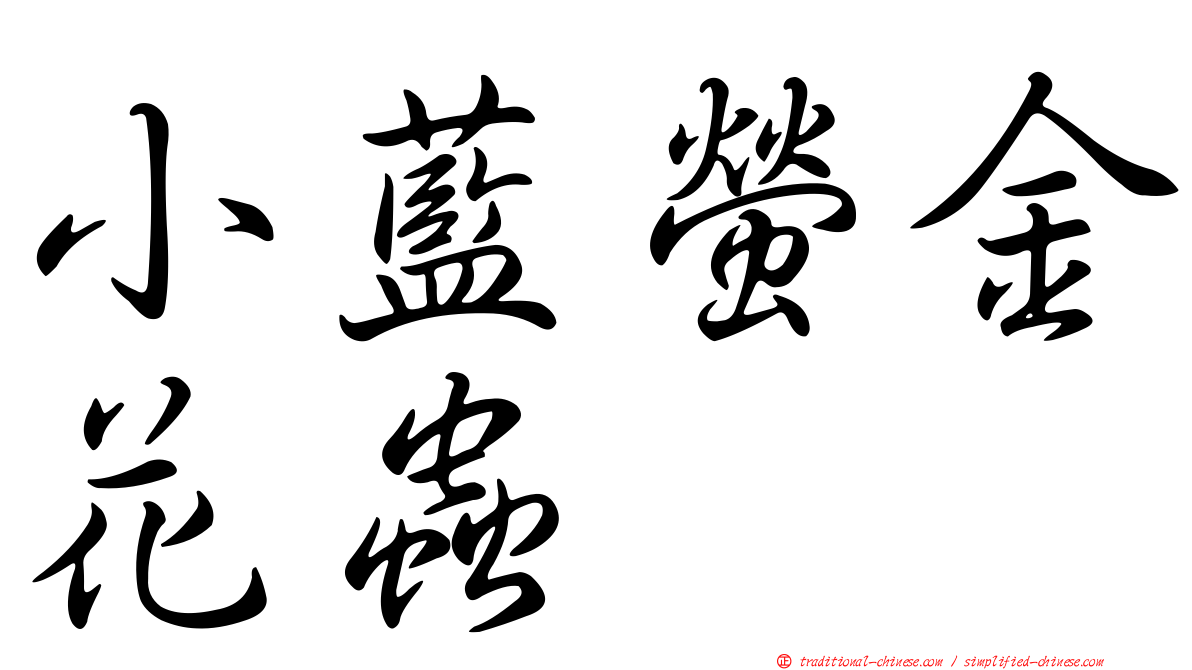 小藍螢金花蟲