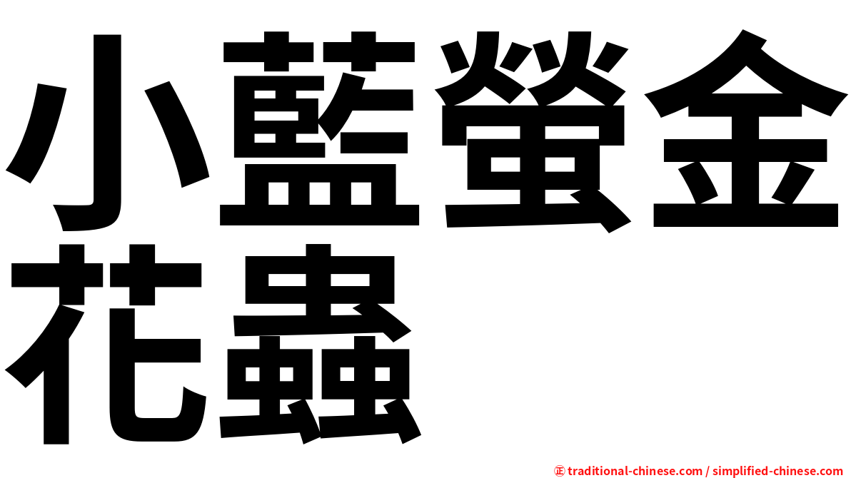 小藍螢金花蟲