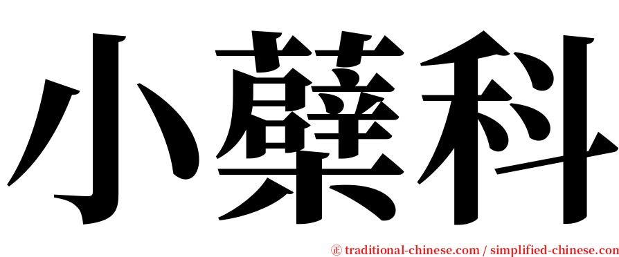 小蘗科 serif font