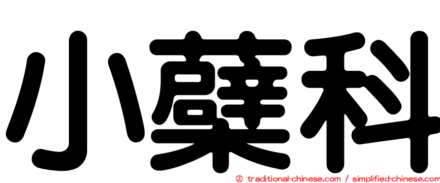 小蘗科