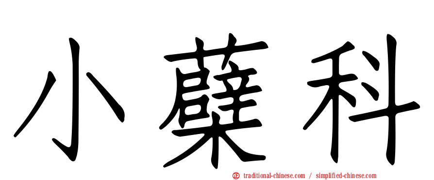小蘗科