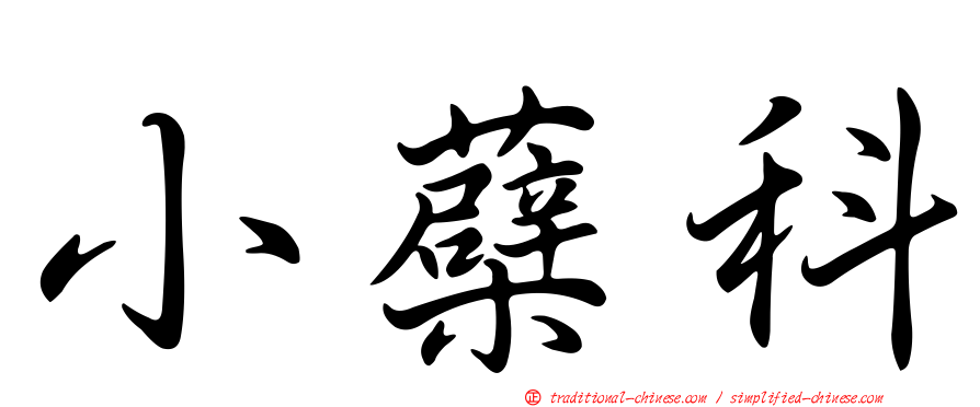 小蘗科