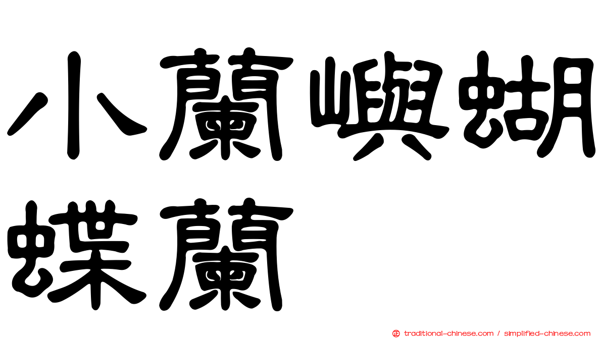 小蘭嶼蝴蝶蘭