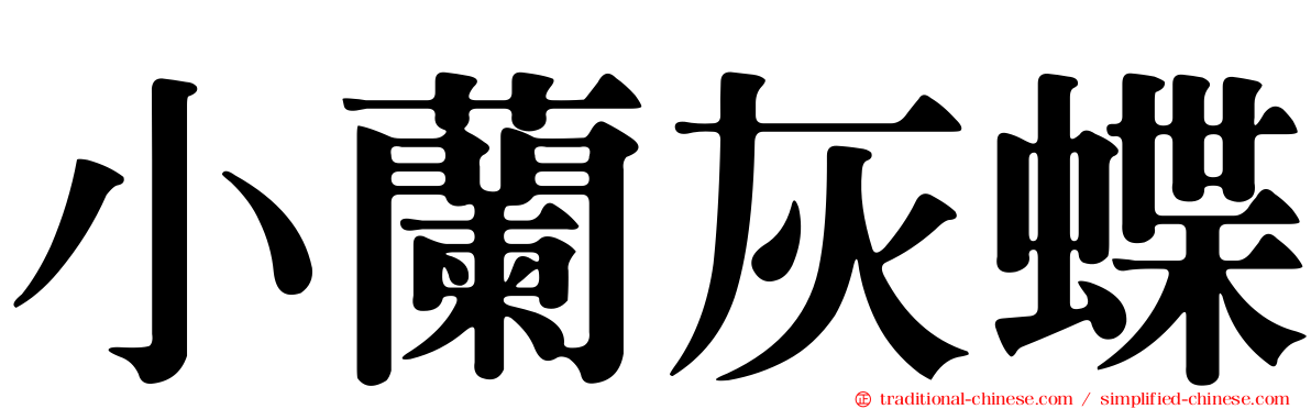 小蘭灰蝶