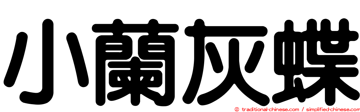 小蘭灰蝶
