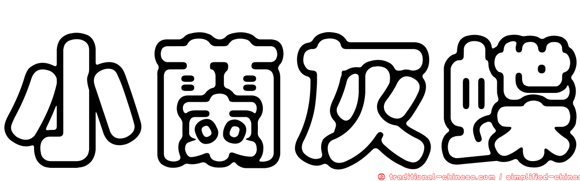 小蘭灰蝶