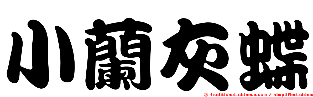 小蘭灰蝶