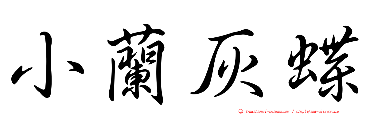 小蘭灰蝶