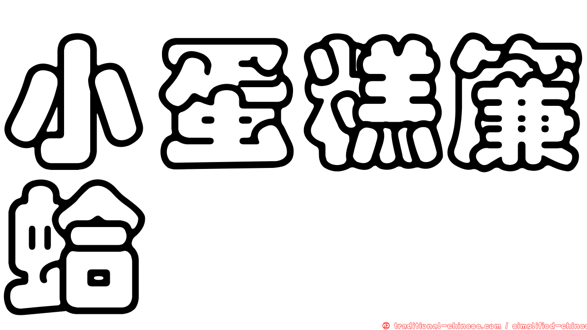 小蛋糕簾蛤