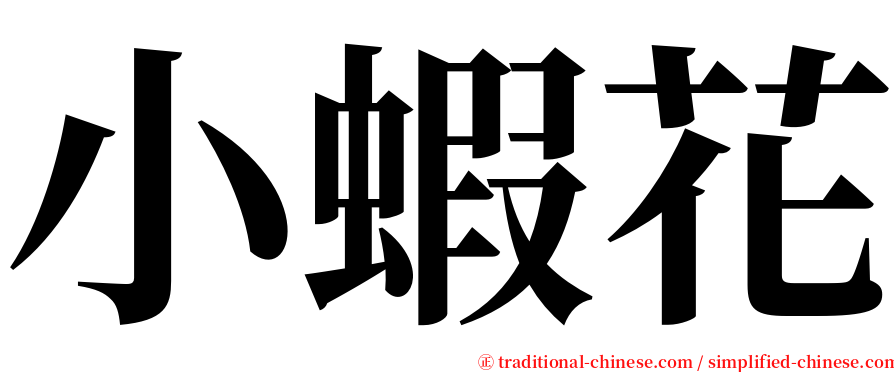小蝦花 serif font