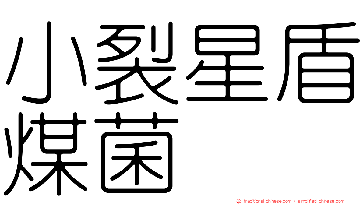 小裂星盾煤菌